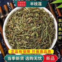 甄选新货半枝莲100克干货官方店半枝连韩信草正品9260