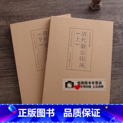 清代徽宗印风(上下) [正版]中国历代印风系列中国汉字印谱印章篆刻工具书先秦印风秦代印风汉晋南北朝印风黄牧甫印风赵之谦印
