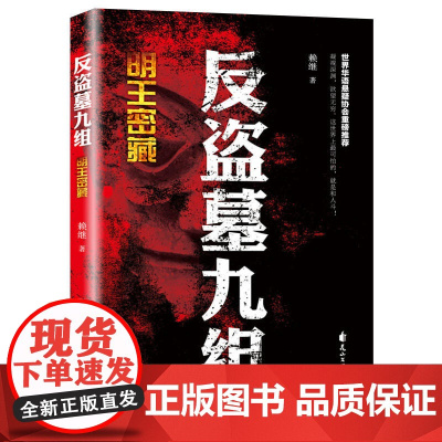 反盗墓九组:明王密藏 赖继 花山文艺出版社 正版书籍