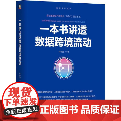 一本书讲透数据跨境流动 林梓瀚著 从理论与实践双重角度讲解数据跨境流动 数据库书籍