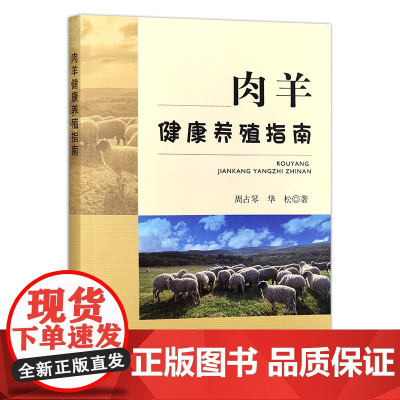肉羊健康养殖指南 周占琴 华松 编 9787109311718 中国农业出版社