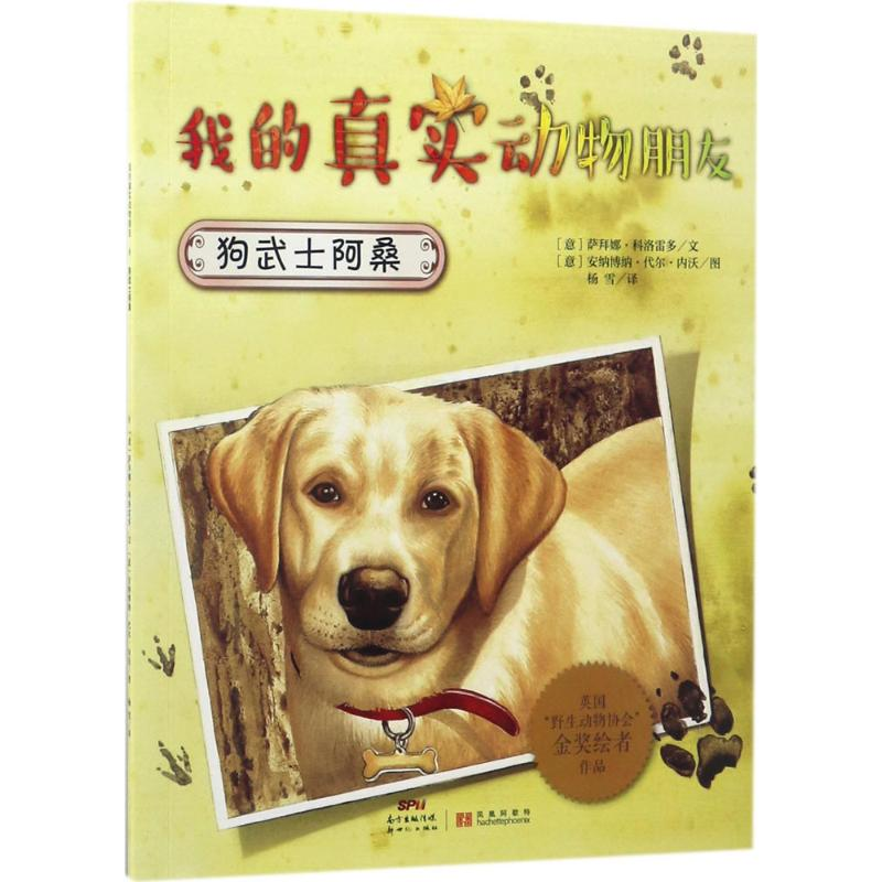 音像狗武士阿桑