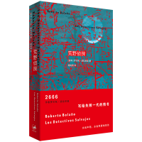 音像荒野侦探[智利] 罗贝托·波拉尼奥