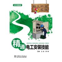 正版新书]精通电工安装技能-全彩精编版王建9787512356733