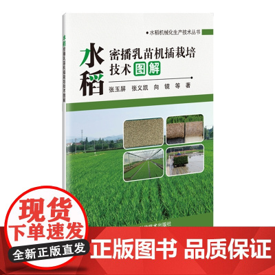 水稻密播乳苗机插栽培技术图解 张玉屏 张义凯 向镜 编 9787511669285 中国农业科学技术出版社