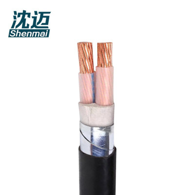 沈迈 低烟无卤阻燃电缆WDZ-YJV22-2*10mm² /米