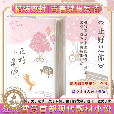 [醉染正版]正版精装丨正好是你 江天雪意现代题材小说电视台工作者×人民小警察 关于青春、梦想、爱情甜文小清新都市言情小说