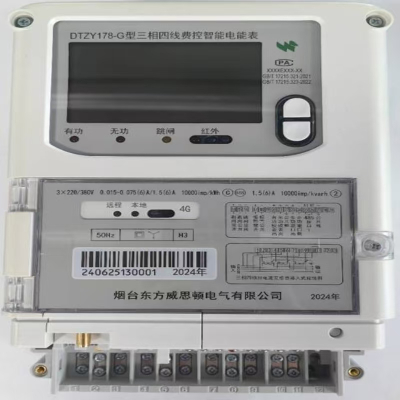威思顿 DTZY178-G三相四线费控智能电能表