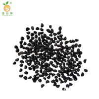 廷豪果 爬藤牵牛花花籽 净籽 /千克