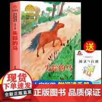 失踪的马汤素兰著正版五六年级必读课外书老师阅读经典书目小学生课外阅读书籍适合9-12岁孩子看的儿童读物文学书籍寒暑假读物