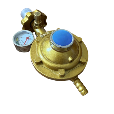 徽鸿沧 燃气减压阀报警器 JYT0.6L-B1 个