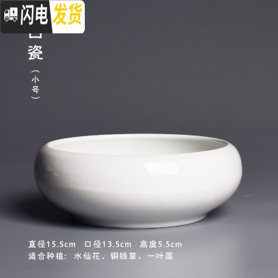 三维工匠简约大号水培花盆创意陶瓷多肉拼盘水养水仙铜钱一叶莲盆栽盆器 [白瓷小号] 大花盆容器