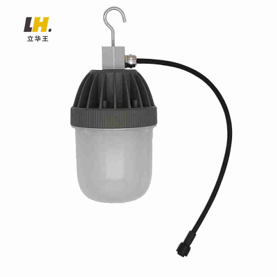 立华王LH3510营地灯