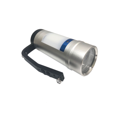 LHDQ 领航电器BZ4100D 多功能防爆手提灯 12×2W 22.2V 冷光 IP68 续航5h/10h 银色