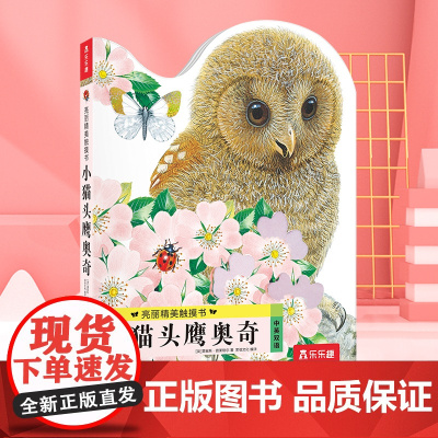 亮丽精美触摸书小猫头鹰奥奇小兔比利0-3岁幼儿早教宝宝启蒙故事书儿童婴儿不易撕烂触感刺激感官认知书 正版书籍