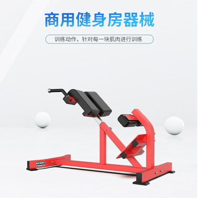 亿迈 EM962 健身房罗马凳背肌伸展练习椅山羊挺身凳