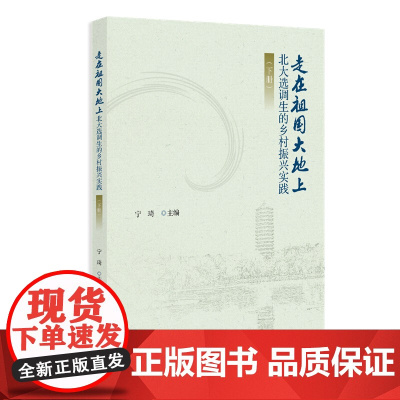 走在祖国大地上 北大选调生的乡村振兴实践 下册 宁琦 北京大学出版社 9787301361191