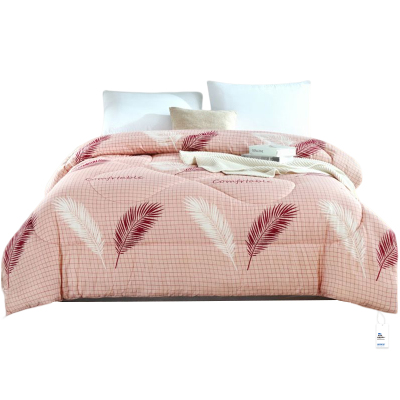 安居先森超柔磨毛金牌云丝被冬被双人200*230cm 2900g D2029(条)