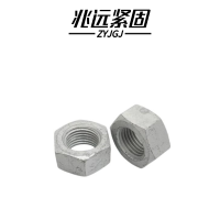 兆远紧固 达克罗六角螺母(个)(M16)