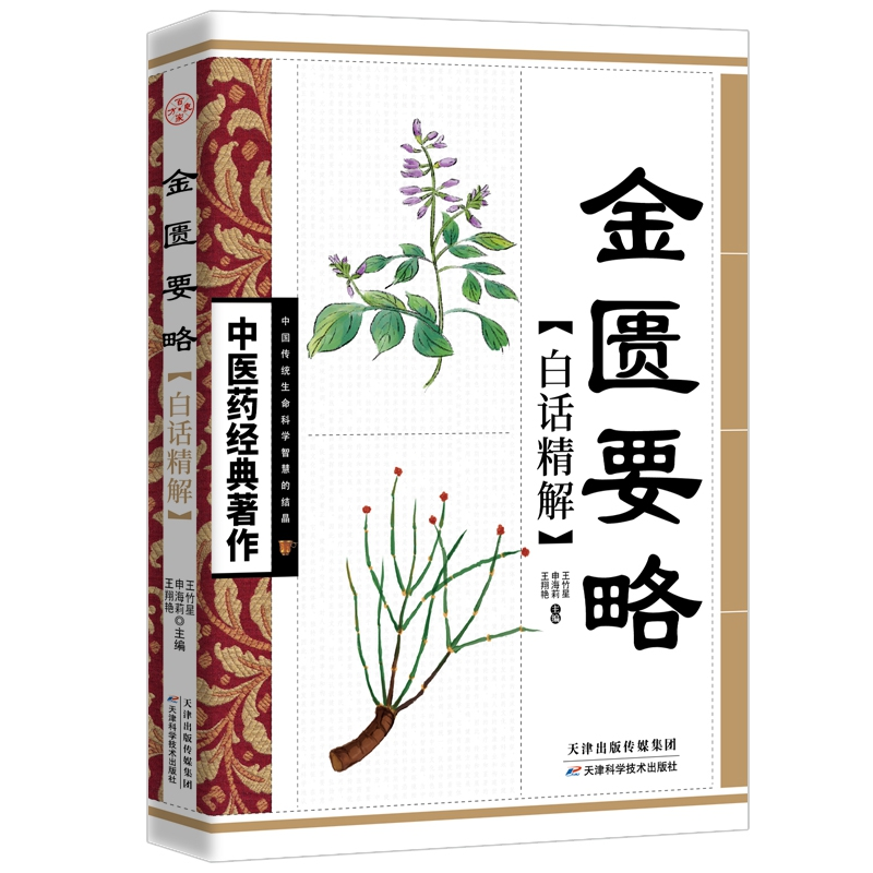 音像医经典著作--金匮要略白话精解王竹星 申海莉 王翔艳