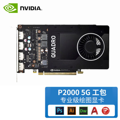 丽台(LEADTEK)NVIDIA P2000 5GB专业图形显卡平面工业设计3D建模渲染视频剪辑后期做图绘图显卡 工业包装