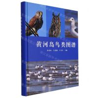 [N]黄河岛鸟类图谱(精)-9787560779973