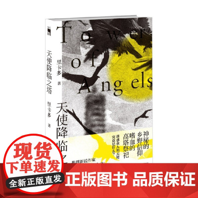 天使降临之塔 里卡多 著 小说