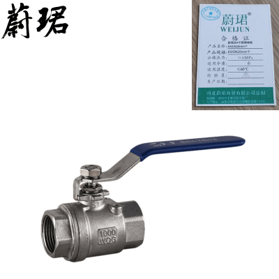 蔚珺304不锈钢球阀6分DN20mm个