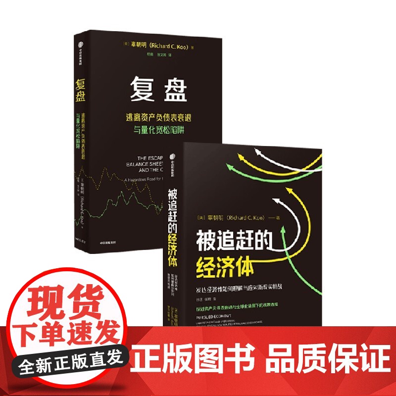复盘+被追赶的经济体 辜朝明 著 经济