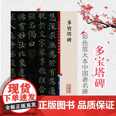 颜真卿多宝塔碑 彩色放大本中国著名碑帖 孙宝文 书法碑帖 书法爱好者临摹字帖 正版图书籍 上海辞书出版社 世纪出版