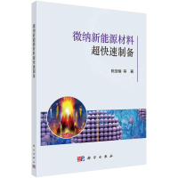 醉染图书微纳新能源材料超快速制备9787030729408