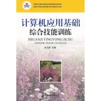 正版新书]计算机应用基础综合技能训练武马群9787115199010