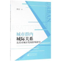 音像城市群内城际关系及其对城市发展影响研究曾浩著