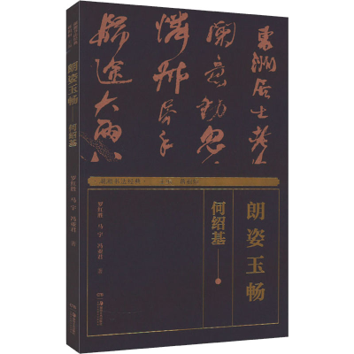 醉染图书湖湘书法经典 朗姿玉畅 何绍基9787535695109