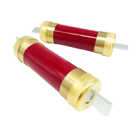 晨以橙 熔断器 RM10 100A 500V 个