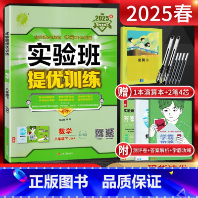 数学 八年级下 [正版]江苏版2025春实验班提优训练八年级下册数学苏科版SK 8年级八下苏教版同步课时作业本强化训练尖