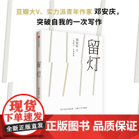 留灯 邓安庆 著 中国现当代文学 生活的苦味 我从小便尝到了 青年作家邓安庆突破自我的写作 中信出版社