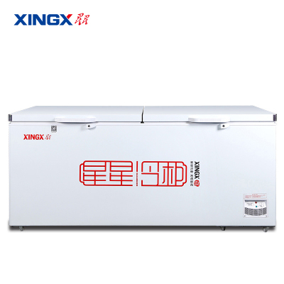 星星(Xingx) 718升商用卧式大容量 冷藏冷冻转换单温冰柜冷柜 一级能耗(白色)BD/BC-728GE