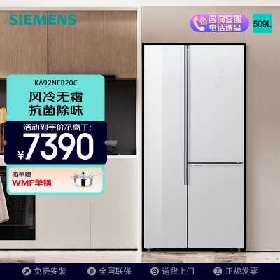 西门子(SIEMENS)对开门冰箱KA92NEB20C