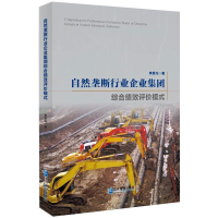 音像自然垄断行业企业集团综合绩效评价模式李景元