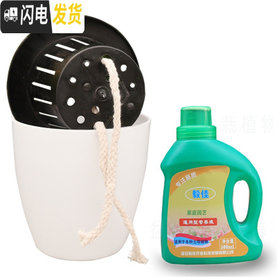 三维工匠懒人花盆自动吸水花盆绿萝用懒人盆特大水培自吸盆塑料吸水盆 盆+500毫升营养液1瓶 m8[特大5个]花盆容器