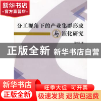 正版 分工视角下的产业集群形成与演化研究 马中东著 人民出版社
