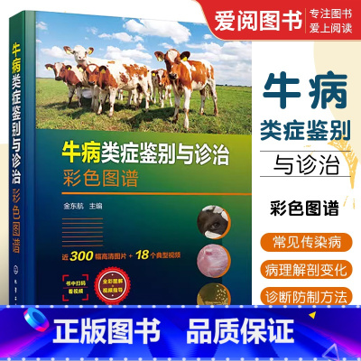 [正版]牛病类症鉴别与诊治彩色图谱 金东航 化学工业出版社 牛传染病寄生虫病内科外科中毒病病因临床症状病理解剖防制方法