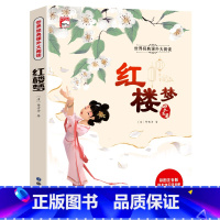 红楼梦(选4本29.8元) [正版]谜语大全三百首三百则注音版 儿童猜谜语的书精选小学生一年级阅读课外书籍二年级3-6-