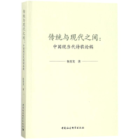 音像传统与现代之间杨景龙