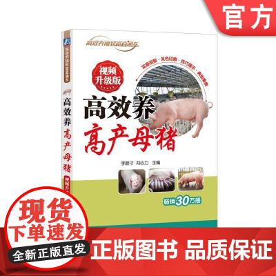 正版 高效养高产母猪 视频升级版 李顺才 养殖致富直通车 经典实用技术图书 农业技能培训教材 机械工业出版社店