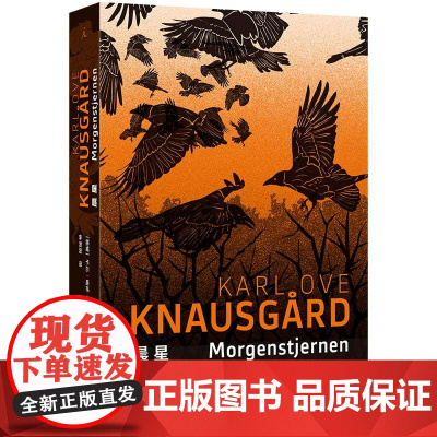 晨星 纽约时报年度关注图书 一个世界末日的隐喻 一部充满神秘色彩的文学寓言 克瑙斯高 北欧文学 悬疑神秘 理想国