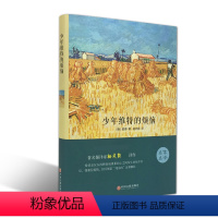 单本 少年维特的烦恼 [正版]精装全译本 少年维特的烦恼歌德 杨武能 少年维特之烦恼世界文学小说名著书籍原著原版中文版中