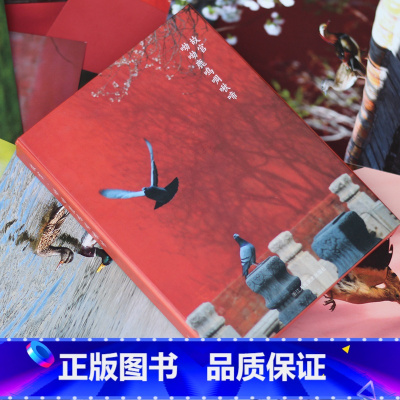 [正版]礼盒装32张故宫 呦呦鹿鸣啁啾啼 故宫博物院摄影师王琎记录紫禁城春夏秋冬风景之美古典唯美中国风学生创意手账文创