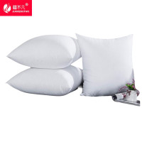 [疆不凡]纯棉白色枕芯45*75cm 荞麦2.5kg个